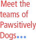 Meet the Teams of Pawsitively Dogs